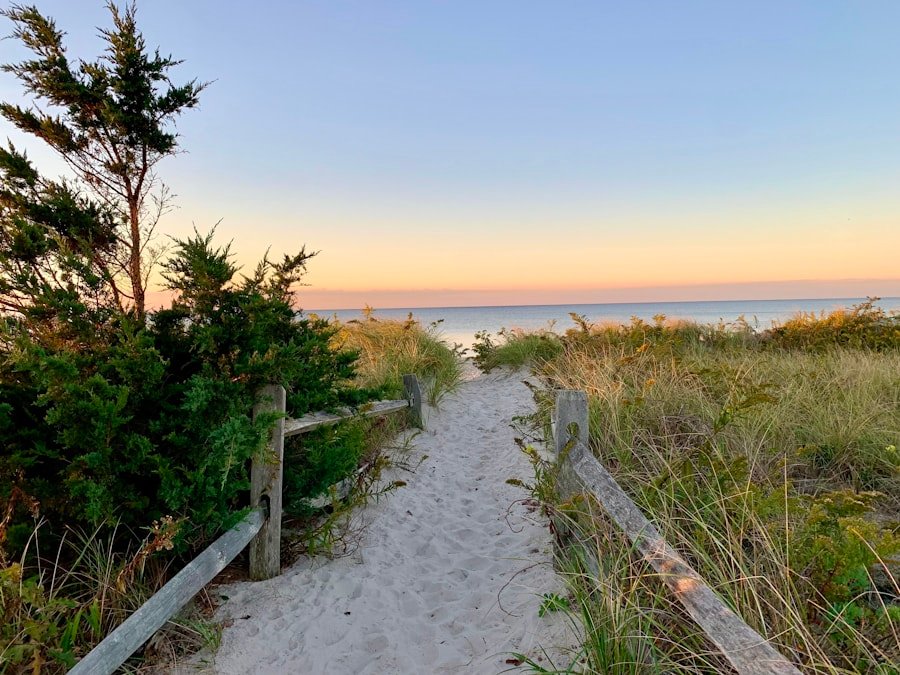Cape Cod beach