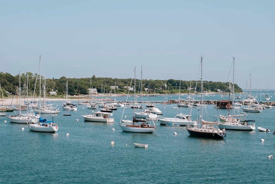 Martha's Vineyard harbor